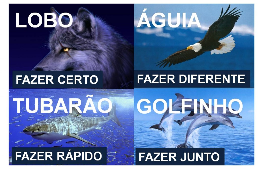 Preferência Cerebral